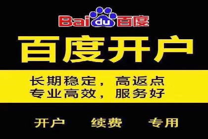 成功托管SEM竞价，实现品牌快速曝光